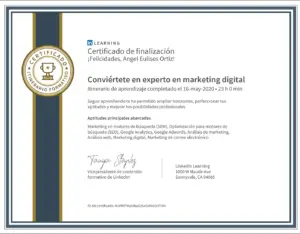 Conviertete en experto en marketing digital Linkedin Learning