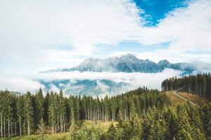 qué es un ecosistema sostenible 3 que es un ecosistema sostenible