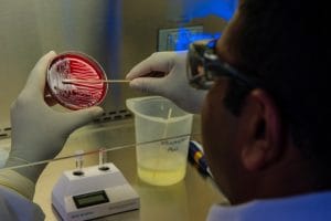 Vad är mikrobiologi? Definition, Betydelse