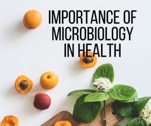 Betydelsen av mikrobiologi i hälsa Bild 3 Betydelsen av mikrobiologi i hälsa: vård, övning, folkhälsa, miljöhälsa. Mikrobiologernas roll vid behandling av sjukdomar är avgörande