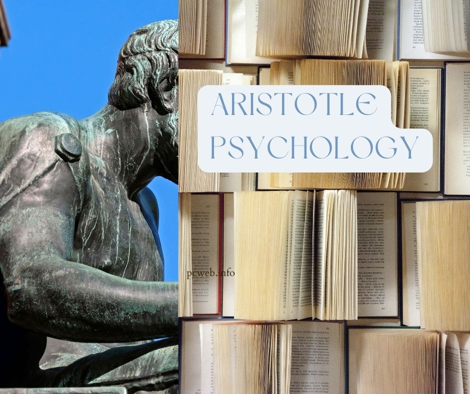 Aristoteles Psychologie: Definition, Theorie, Beitrag, Analyse
