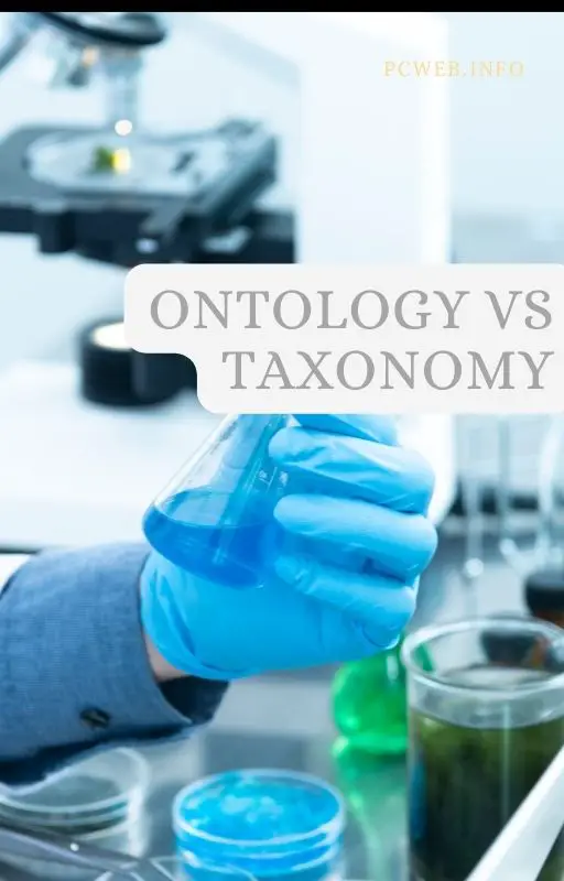 Ontología vs taxonomía: significado de ontología, significado de taxonomía, diferencias