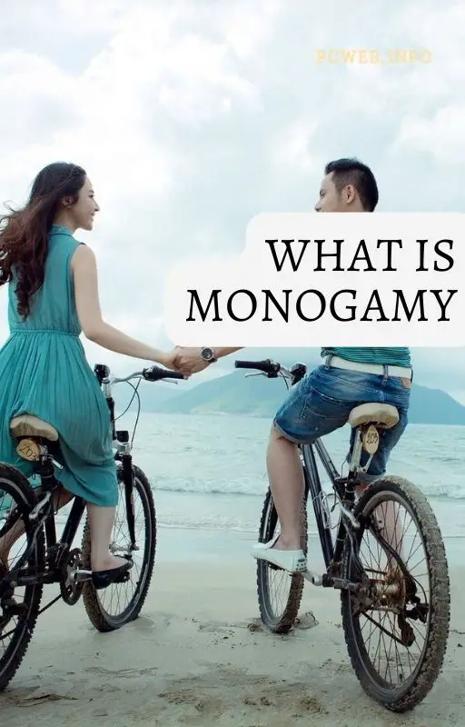 que es la monogamiamedia, matrimonio, en sociología, en biología, en la ley hindú