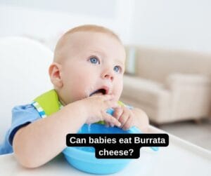 Can babies eat Burrata cheese