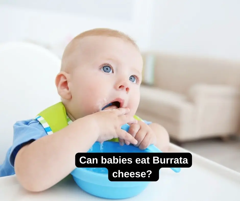 Can babies eat Burrata cheese?