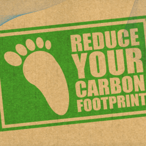 How can I reduce my carbon footprint