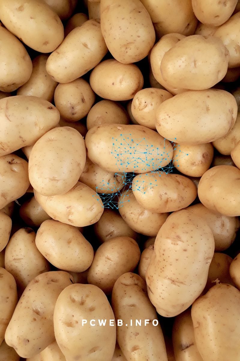 Purines In Potatoes: Understanding Their Role And Impact On Health (1) 2 Consuming Potatoes In A Low Purine Diet
