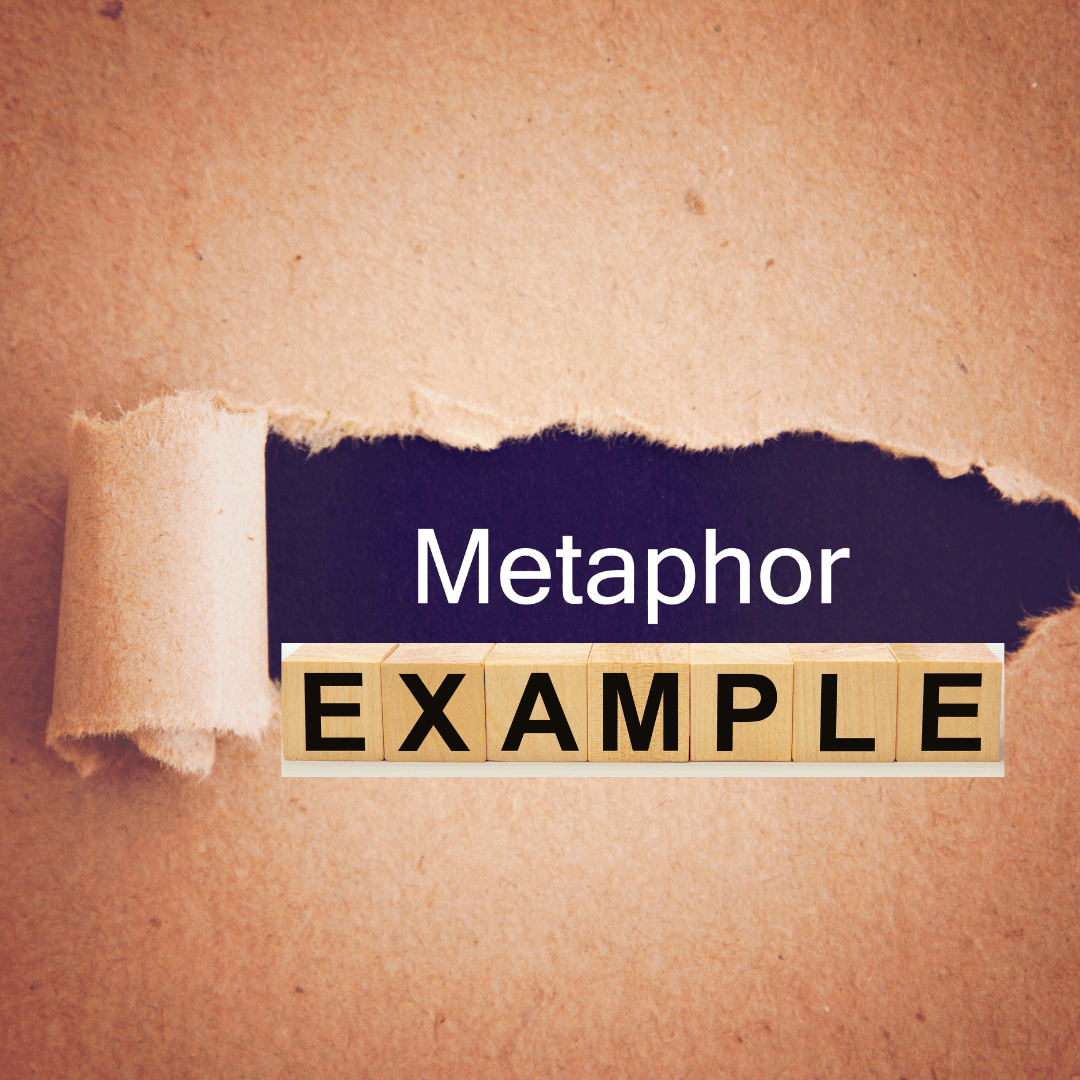Metaphor Examples 1 Metaphor Examples