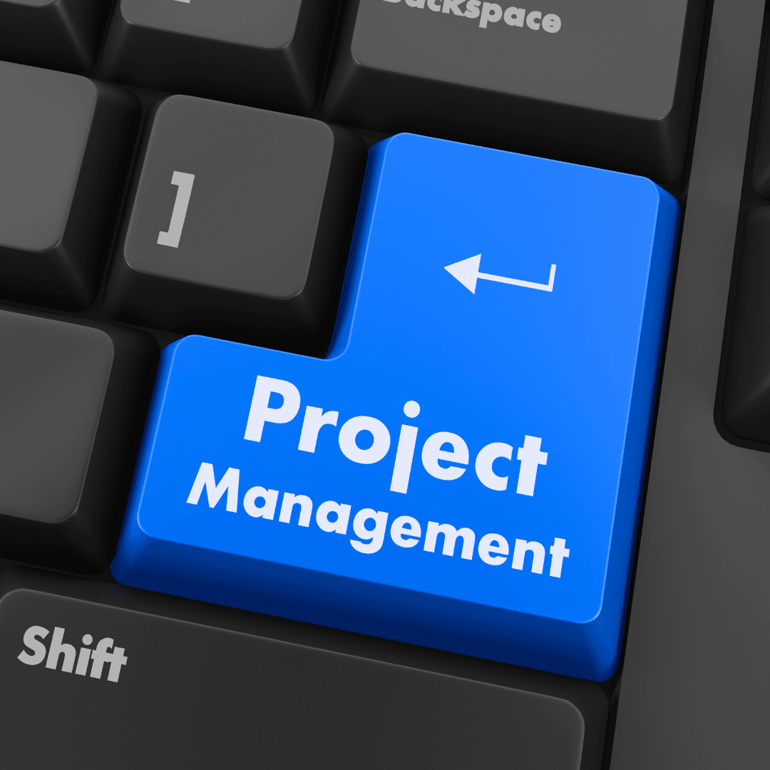 Managing A Team Of Project Managers